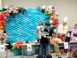 twisters2023 gallery